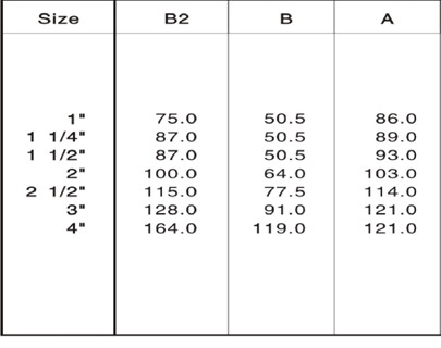 Válvula de Retención Cheque Clamp